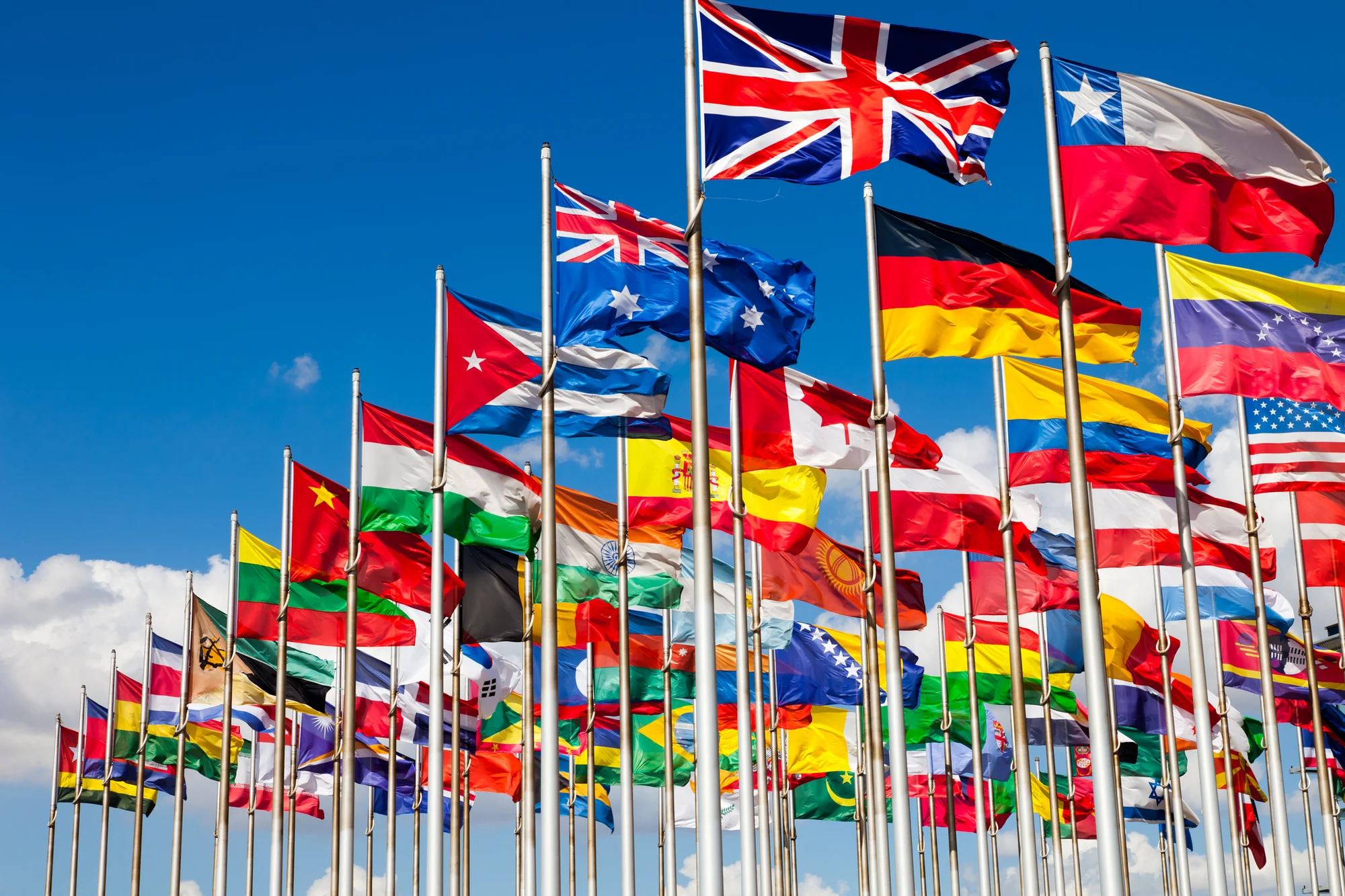 Flags in Qatar