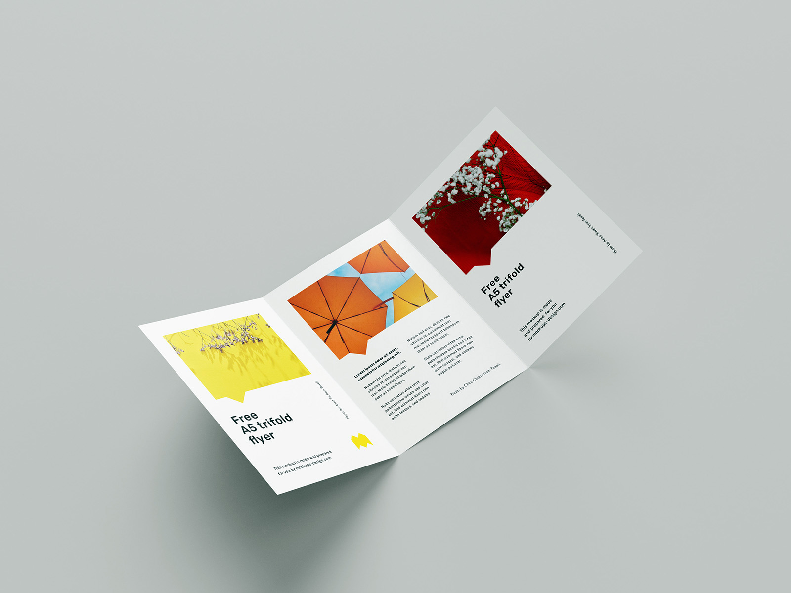 Brochure Tri- Fold in Qatar