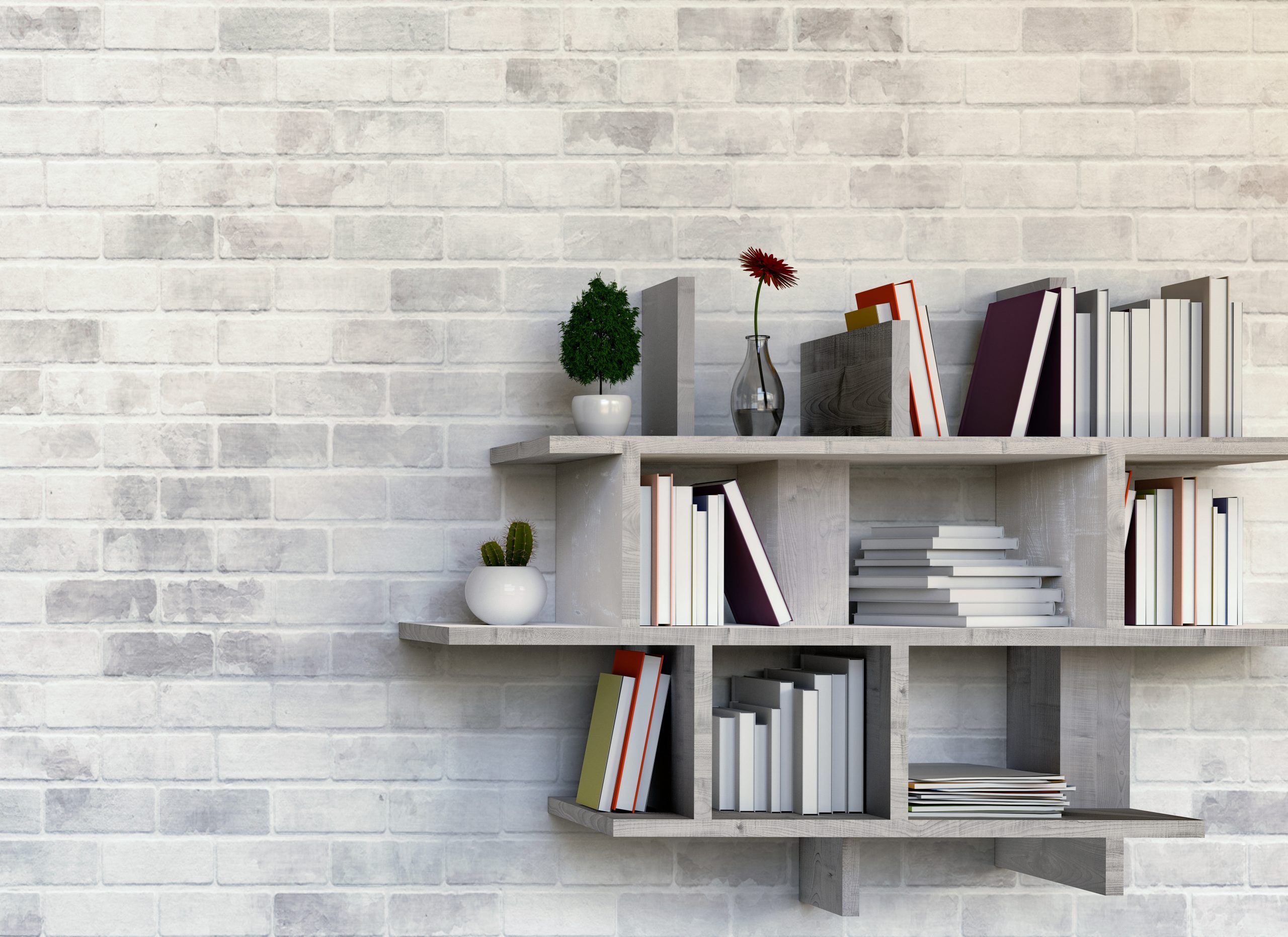 Wall-Mounted Shelves